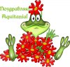 den_rozdeniya1020.jpg