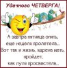 четверг11.jpg