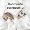 воскресенье2.jpg