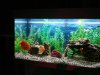IMG_20200918_223451.jpg